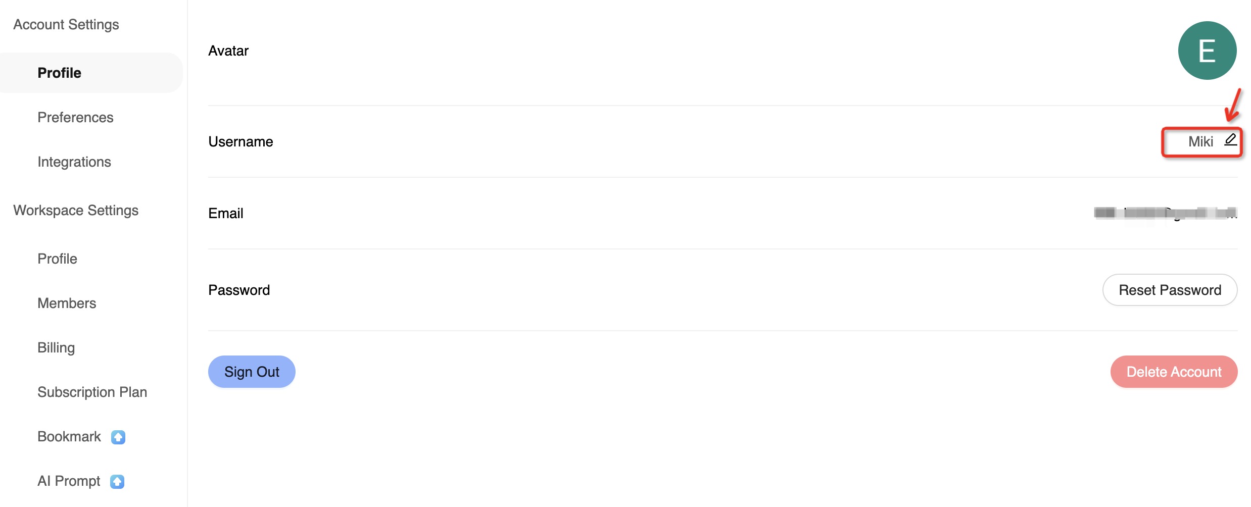 Edit Username Input